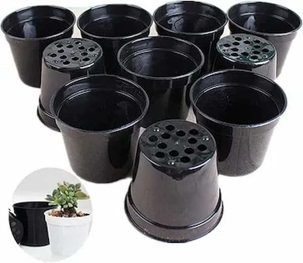 تصویر 1 از قیمت خرید گلدان پلاستیکی گلخانه ای + فروش ویژه